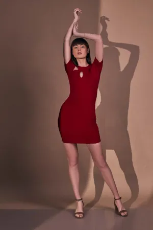 Cher Designer Bodycon Dress