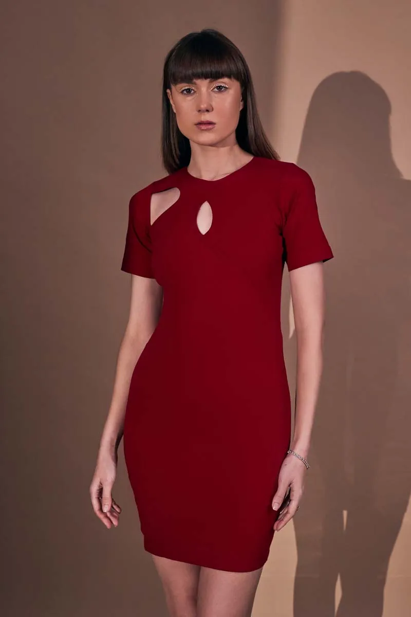 Cher Designer Bodycon Dress